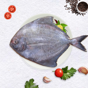 Black Pomfret