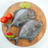 Black Pomfret