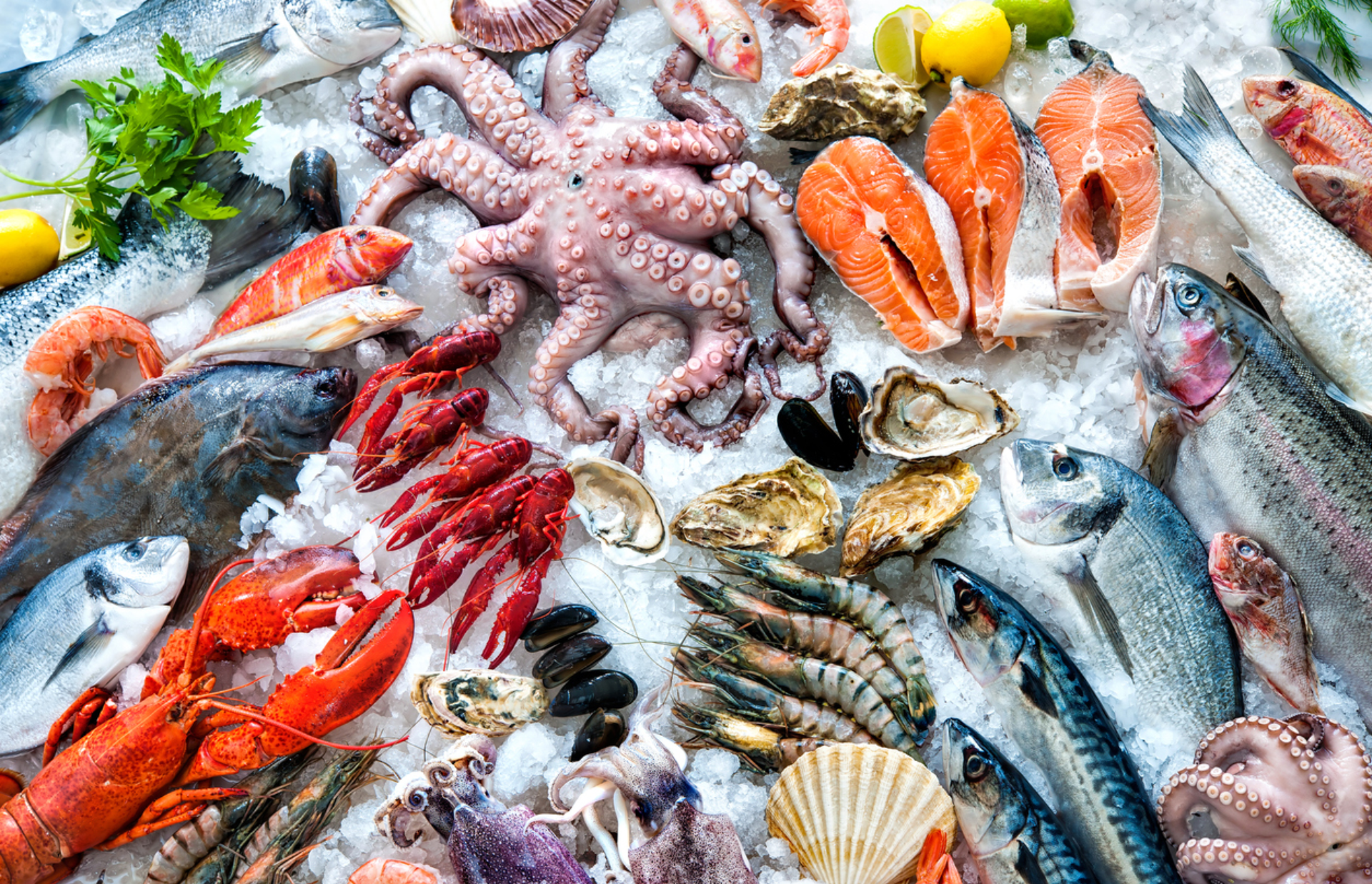 Non-frozen seafood delivery service Vile Parle